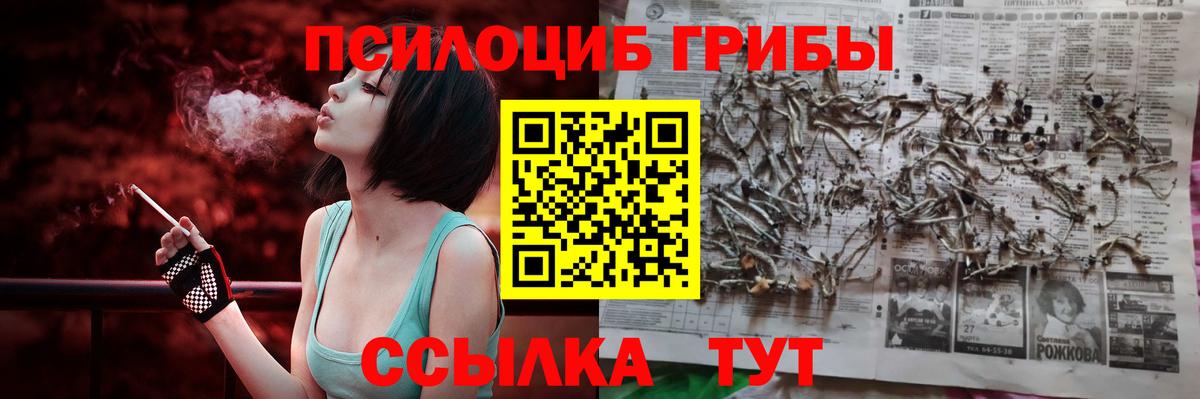 Псилоцибиновые грибы Cubensis Новошахтинск